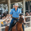 Stock Horse Arena and Billy Tea Show Paradise Countryr