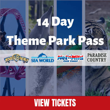 14 Day Theme Park Mega Pass
