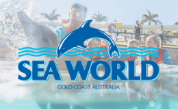 SeaWorld Theme Park Transfers